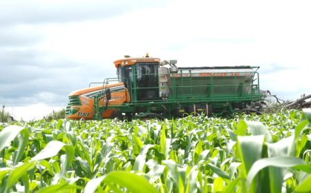 Economia angolana ganha impulso com seis linhas de garantia de crédito superiores a 1 bilião de kwanzas.