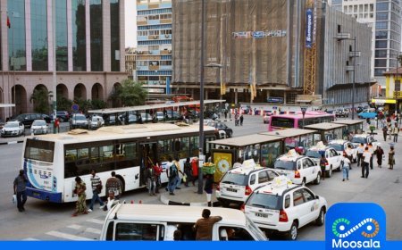 Governo Provincial de Luanda decreta tolerância de ponto por dois dias  24 e 25 de novembro