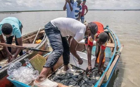 "Programa Nacional para o Desenvolvimento das Vilas Piscatórias é Aprovado"