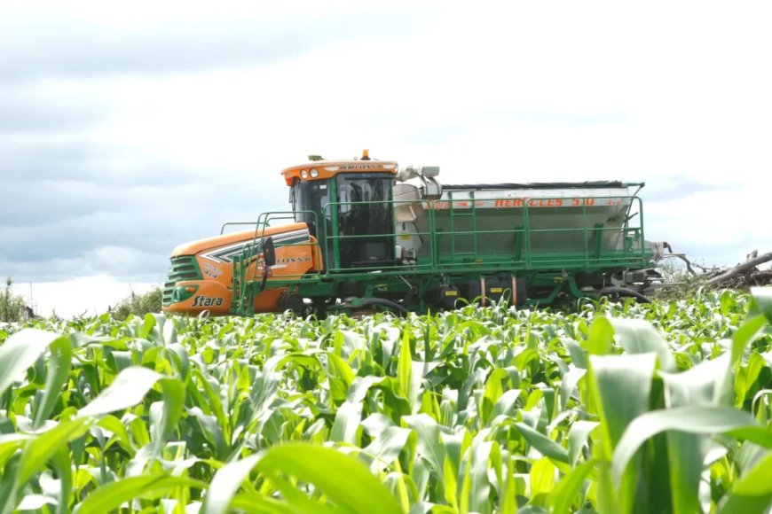 Economia angolana ganha impulso com seis linhas de garantia de crédito superiores a 1 bilião de kwanzas.