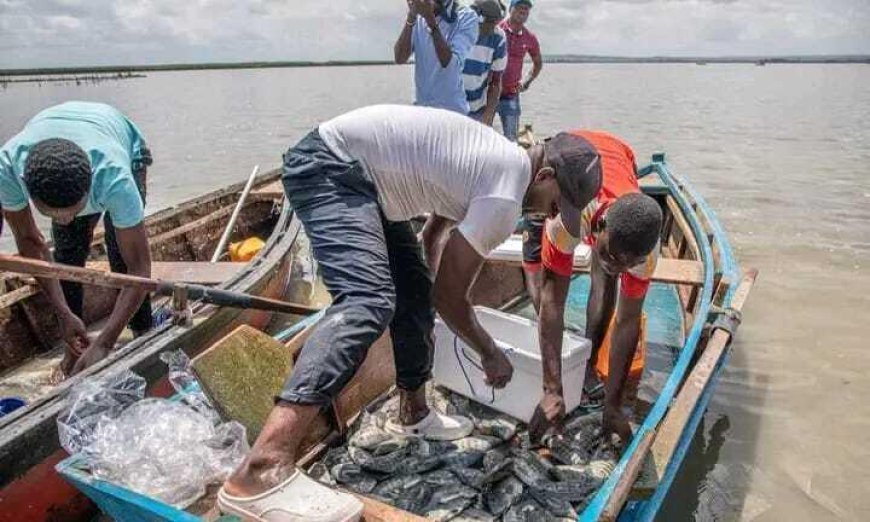 "Programa Nacional para o Desenvolvimento das Vilas Piscatórias é Aprovado"
