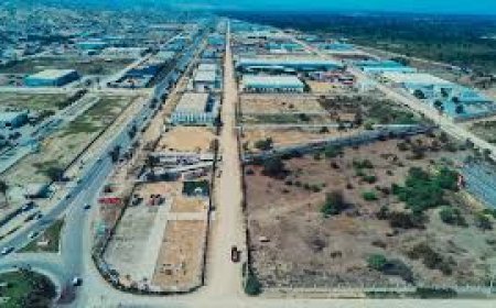 “Questões macro-económicas” arrasam 70 empresas no PDIC em Benguela