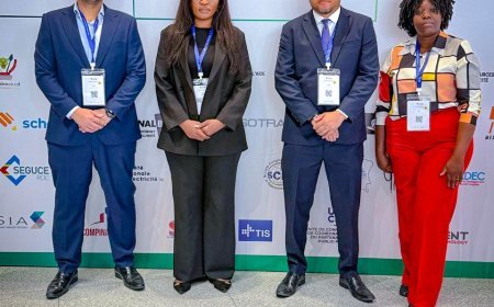 TIS lança plataforma virtual para aproximar académicos angolanos e congolese