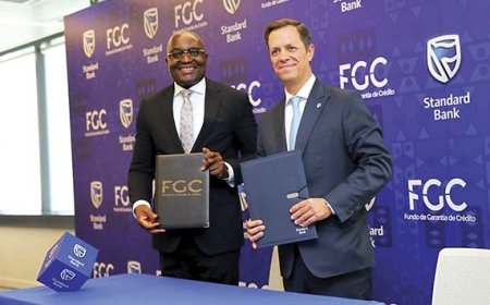 Financiamento de 18 mil milhões de kwanzas impulsiona pequenas empresas no programa “Diversifica Mais”