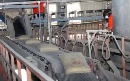 Ministro Anuncia que Novos Investimentos Vão Garantir Estabilidade no Preço do Cimento