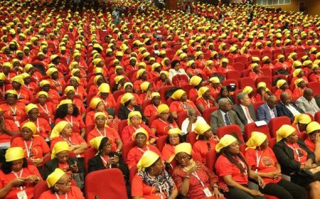 Cabinda e Cuanza-Norte contam agora com novas líderes da OMA
