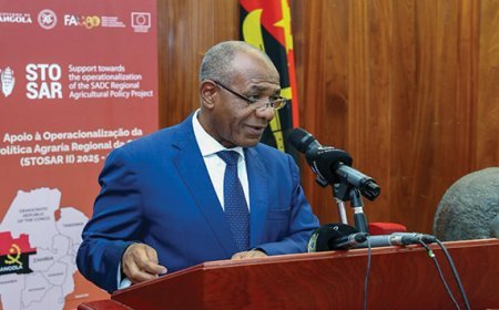 Angola recebe 257 mil euros para reforçar segurança alimentar