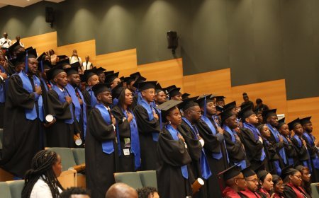 Ensino Superior reafirma obrigatoriedade dos trabalhos de fim de curso