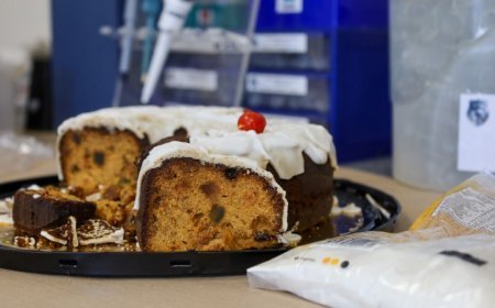 “Bolo envenenado oferecido ao filho de ex-patroa gera investigação”