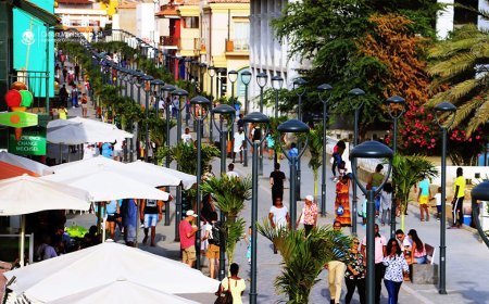 “Japão assina acordo de assistência alimentar de 834 mil euros com Cabo Verde”