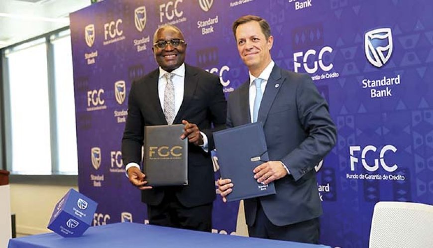 Financiamento de 18 mil milhões de kwanzas impulsiona pequenas empresas no programa “Diversifica Mais”