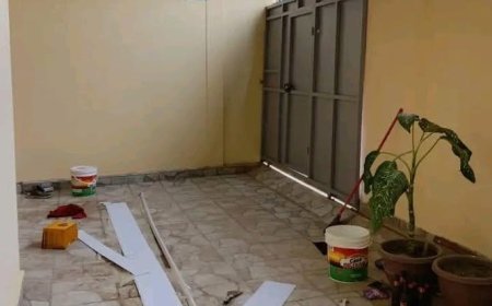 Tintas com chumbo representam ameaça ao ambiente e à saúde humana