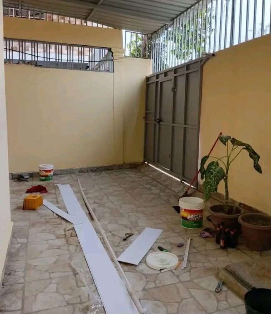 Tintas com chumbo representam ameaça ao ambiente e à saúde humana