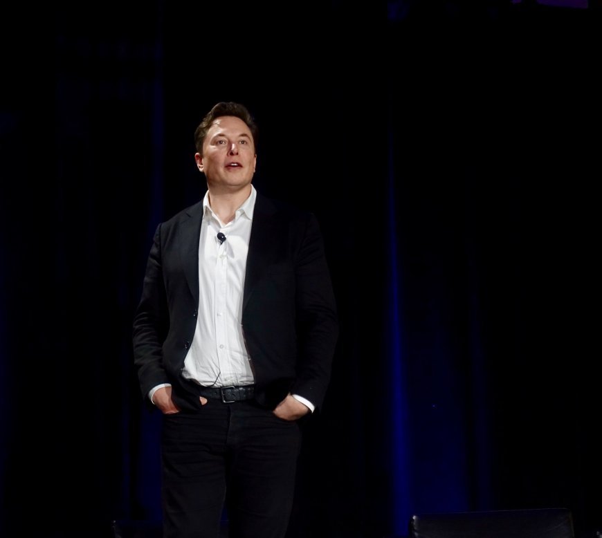 Elon Musk não disse que os filhos não lhe devem nada, revela verificação de factos